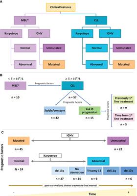 Unravelling soluble immune checkpoints in chronic lymphocytic leukemia: Physiological immunomodulators or immune dysfunction